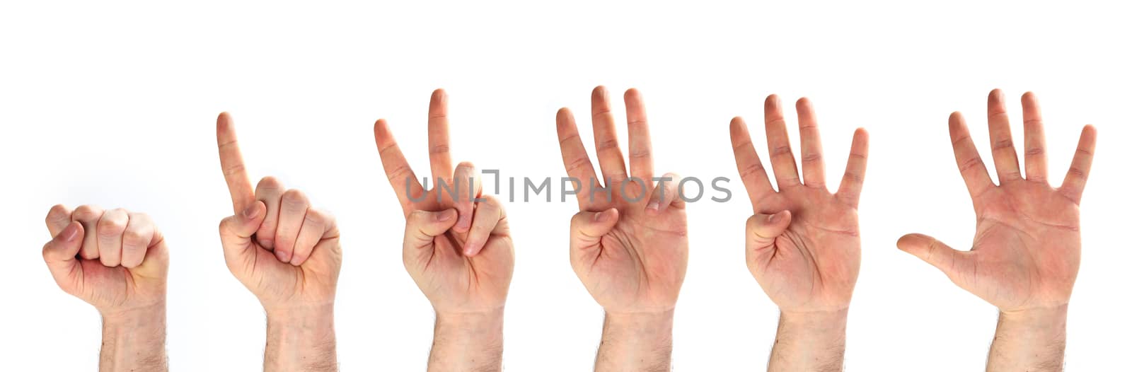 five hands