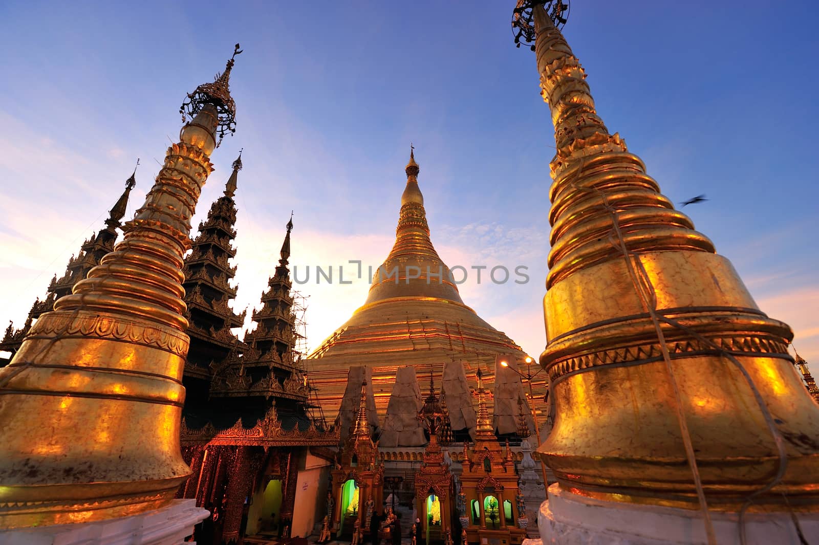 Shwedagon golden pagoda at twilight, Yangon,Myanmar by think4photop