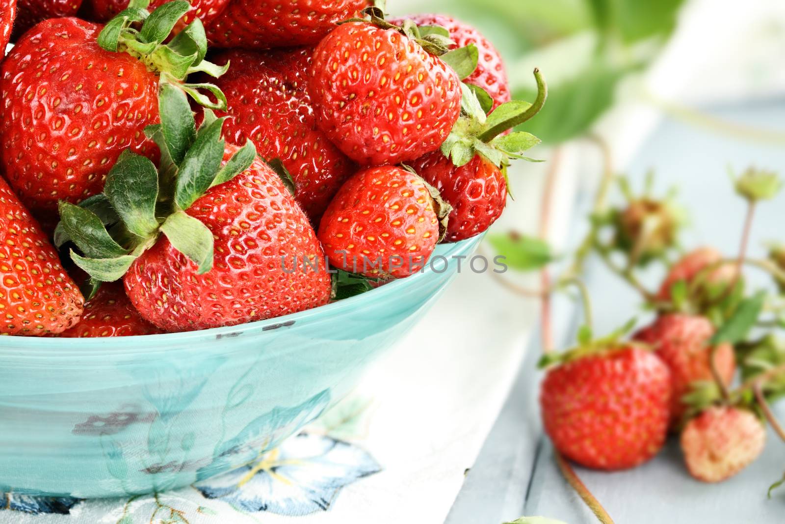 Macro of Fresh Strawberries  by StephanieFrey