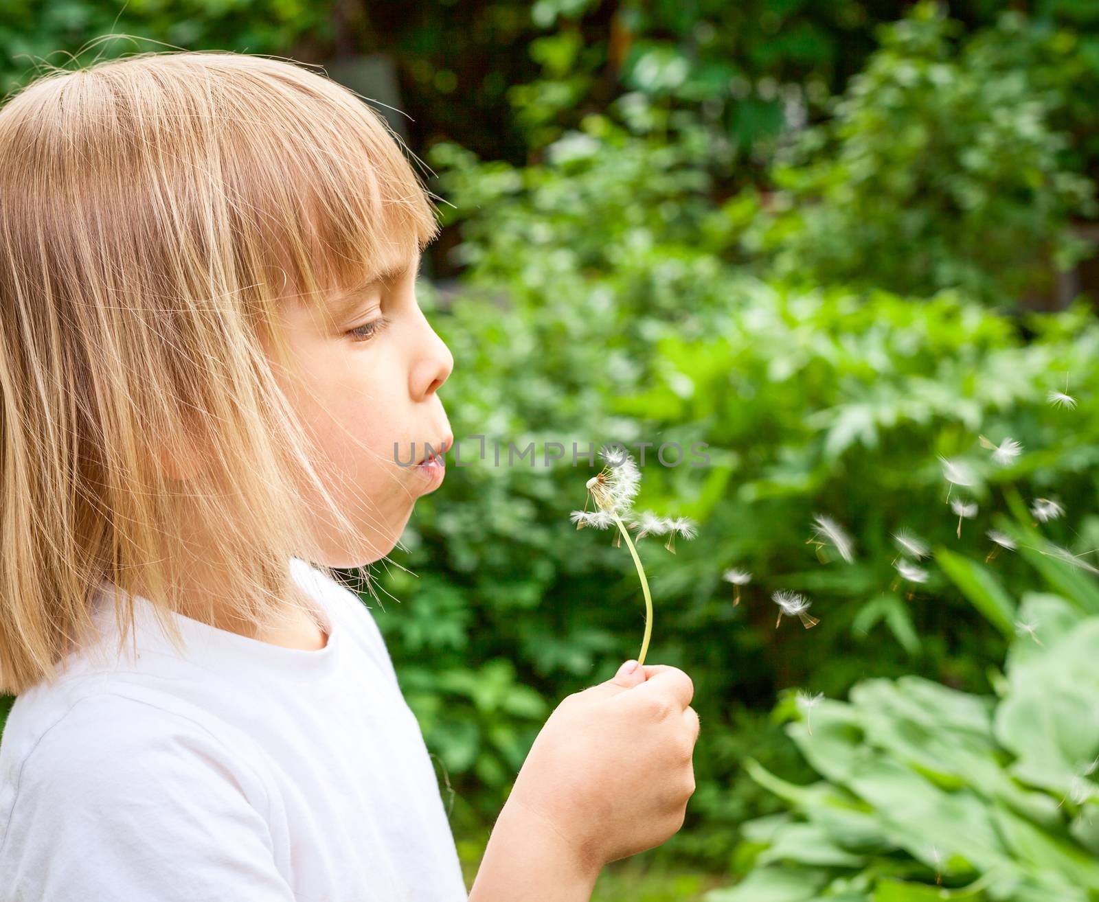 Girl blowing dandelion by naumoid