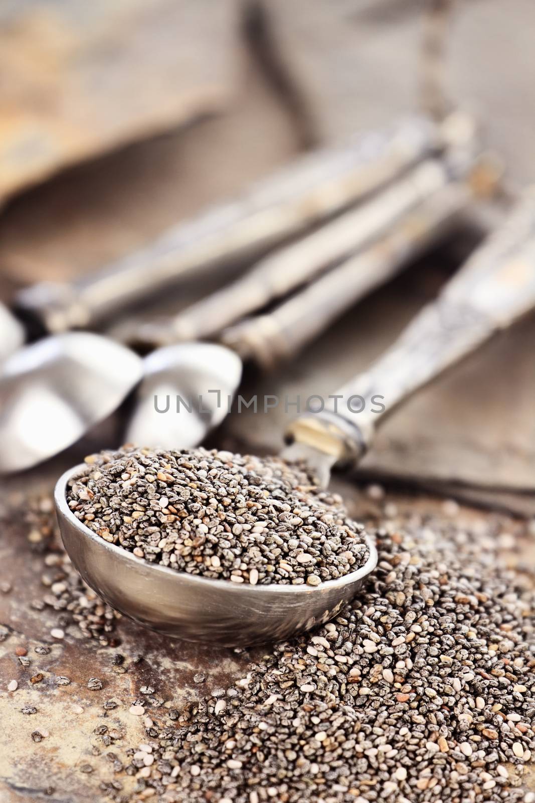 Tablespoon of healthy chia seeds with selective focus and extreme shallow depth of field.