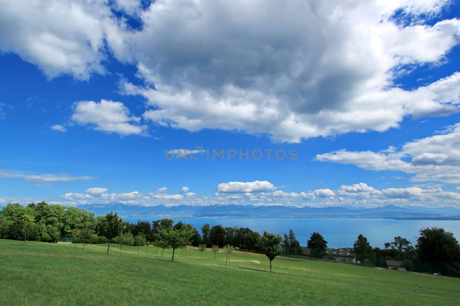 View of Alps mountain and Geneva lake from "La Côte" by beautiful summer day, Switzerland