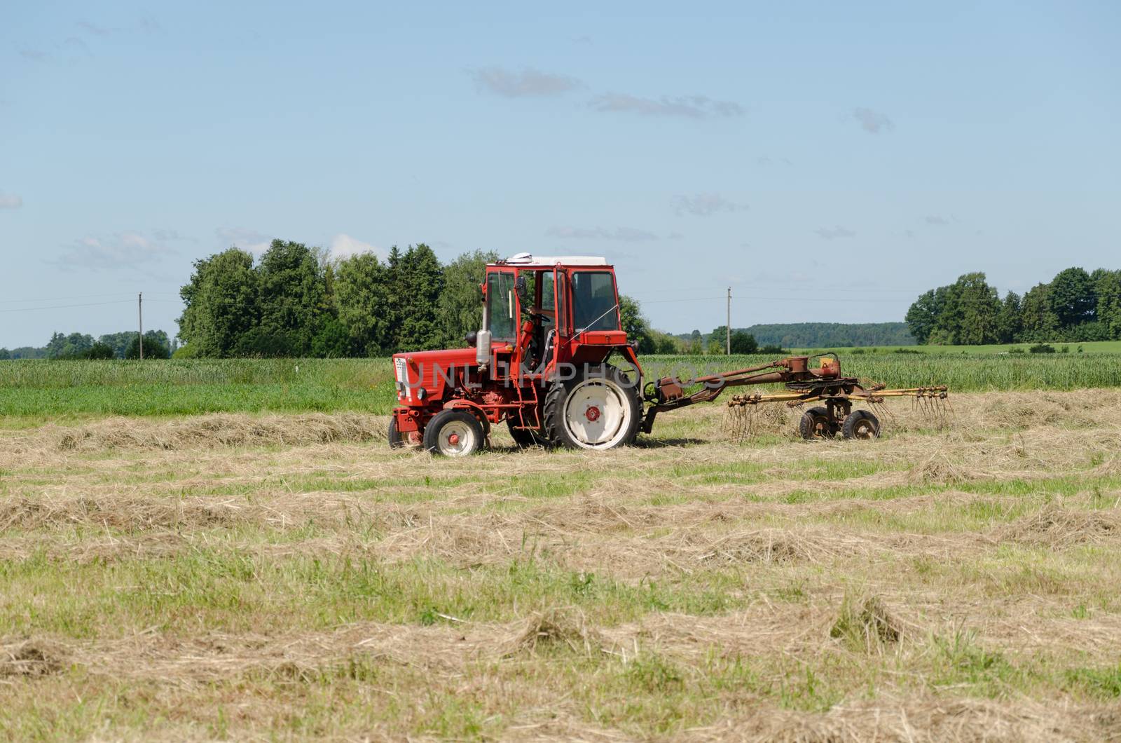 tractor ted hay dry grass in agriculture field. Preparing feed for animals.