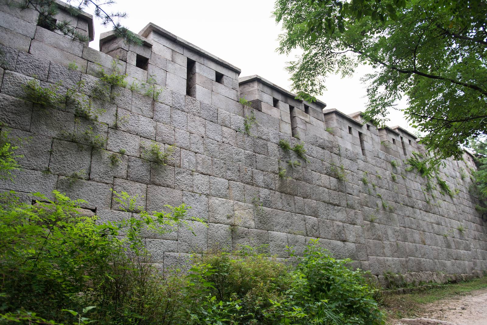 Fortress wall of Seoul by Arrxxx