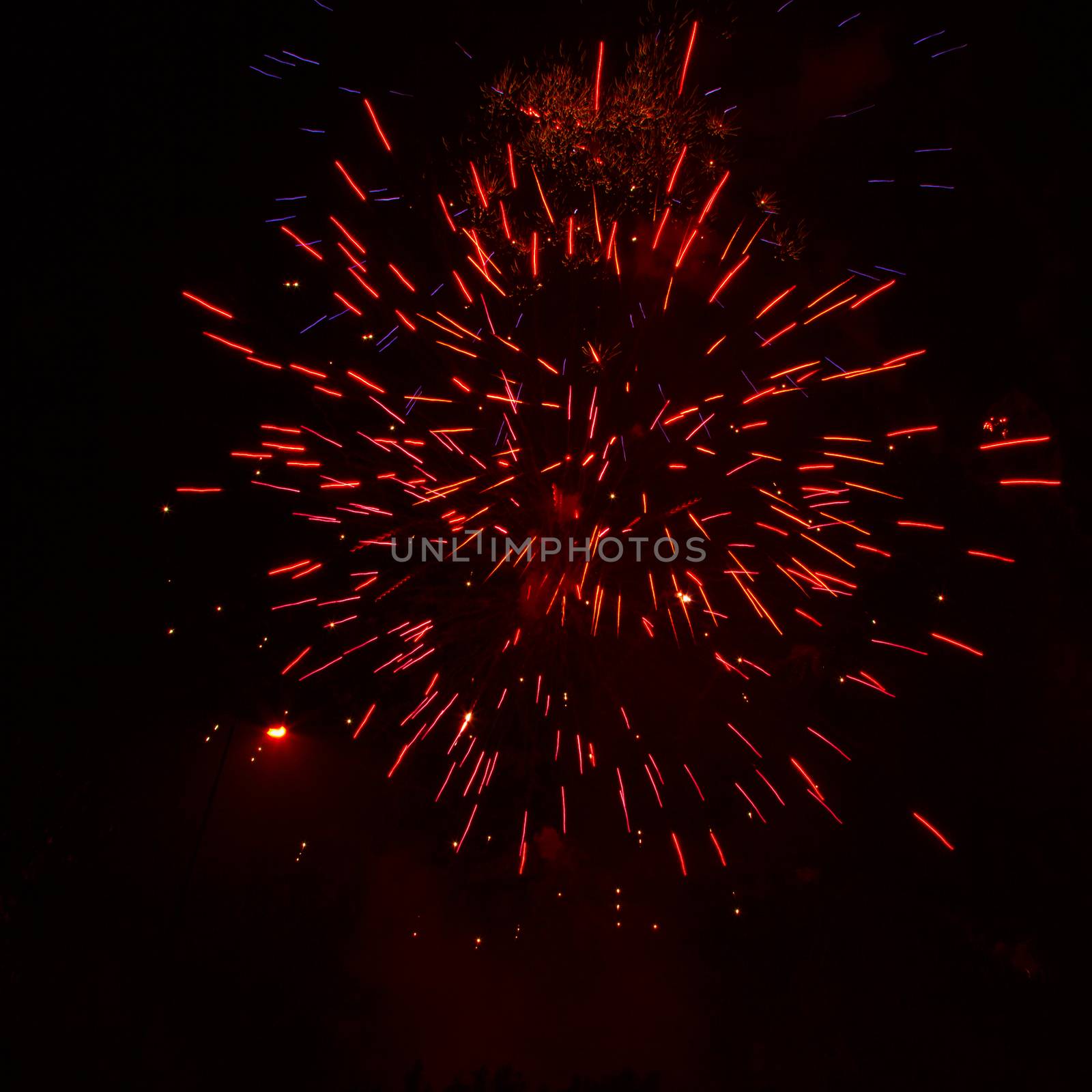 Fireworks exploding in the dark night sky