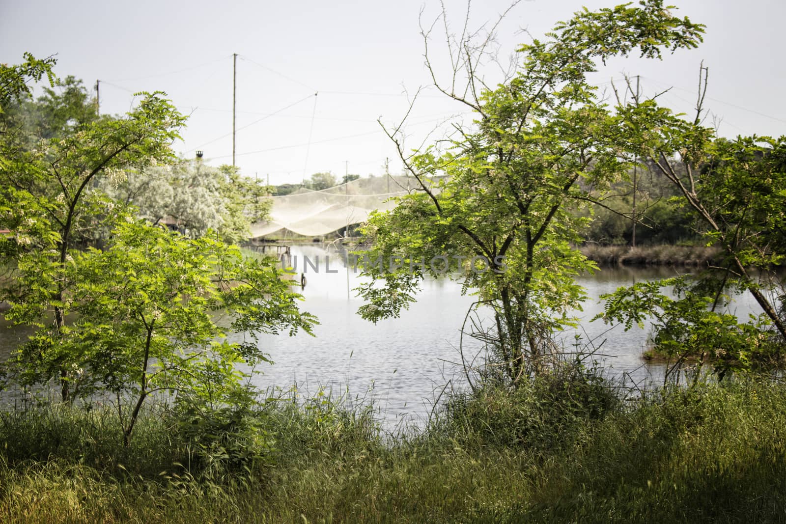 Fishing huts on the Pialassa della Baiona brackish lagoon near Marina Romea along the  Adriatic seaside in Ravenna (Italy)