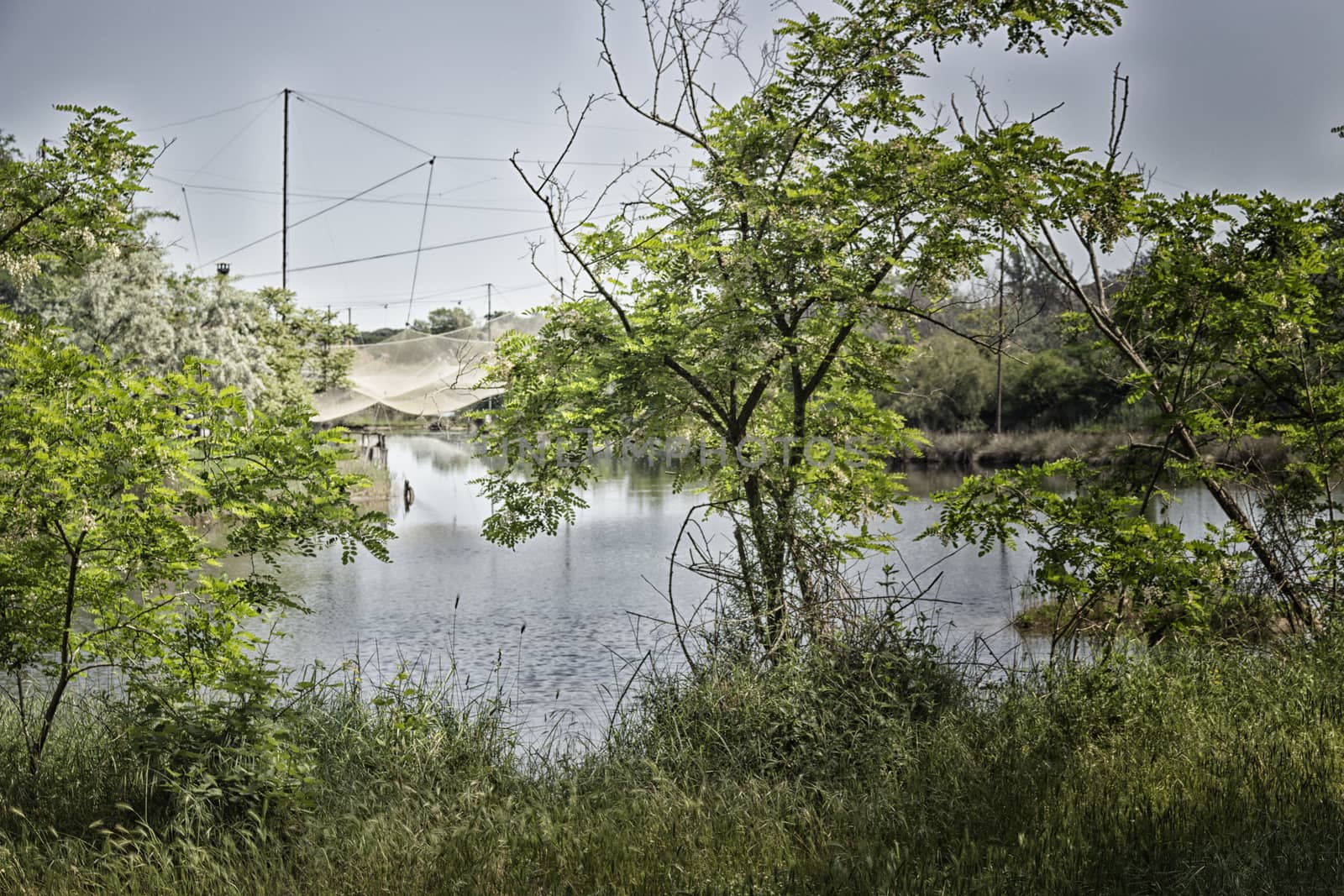 Fishing huts on the Pialassa della Baiona brackish lagoon near Marina Romea along the  Adriatic seaside in Ravenna (Italy)