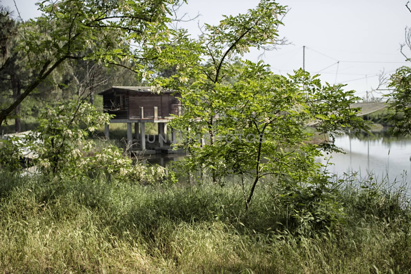 Fishing huts on the Pialassa della Baiona brackish lagoon near Marina Romea along the  Adriatic seaside in Ravenna (Italy)