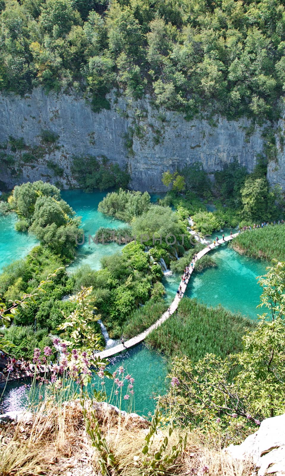 Pltvice Lakes in Croatia by anderm