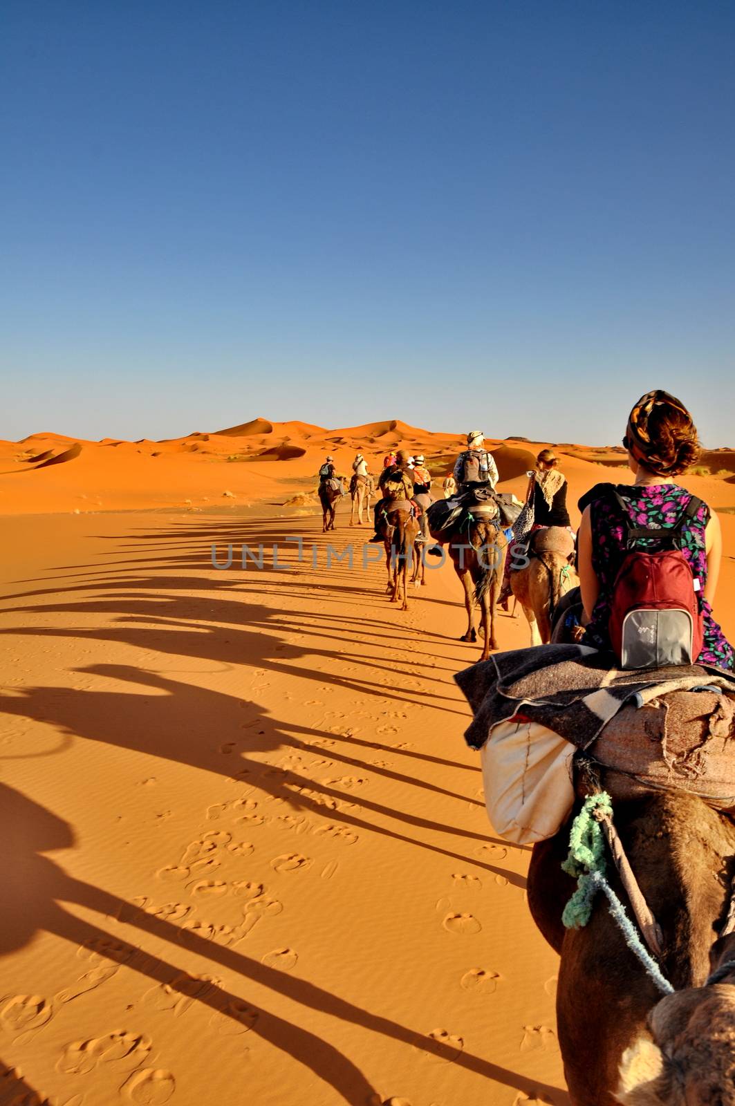 MERZOUGA DESERT - OCTOBER 01: Tourists in a Camel caravan in Mer by anderm