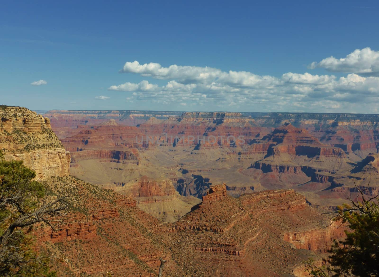 A stunning image of the Grand Canyon taken from the South rim.