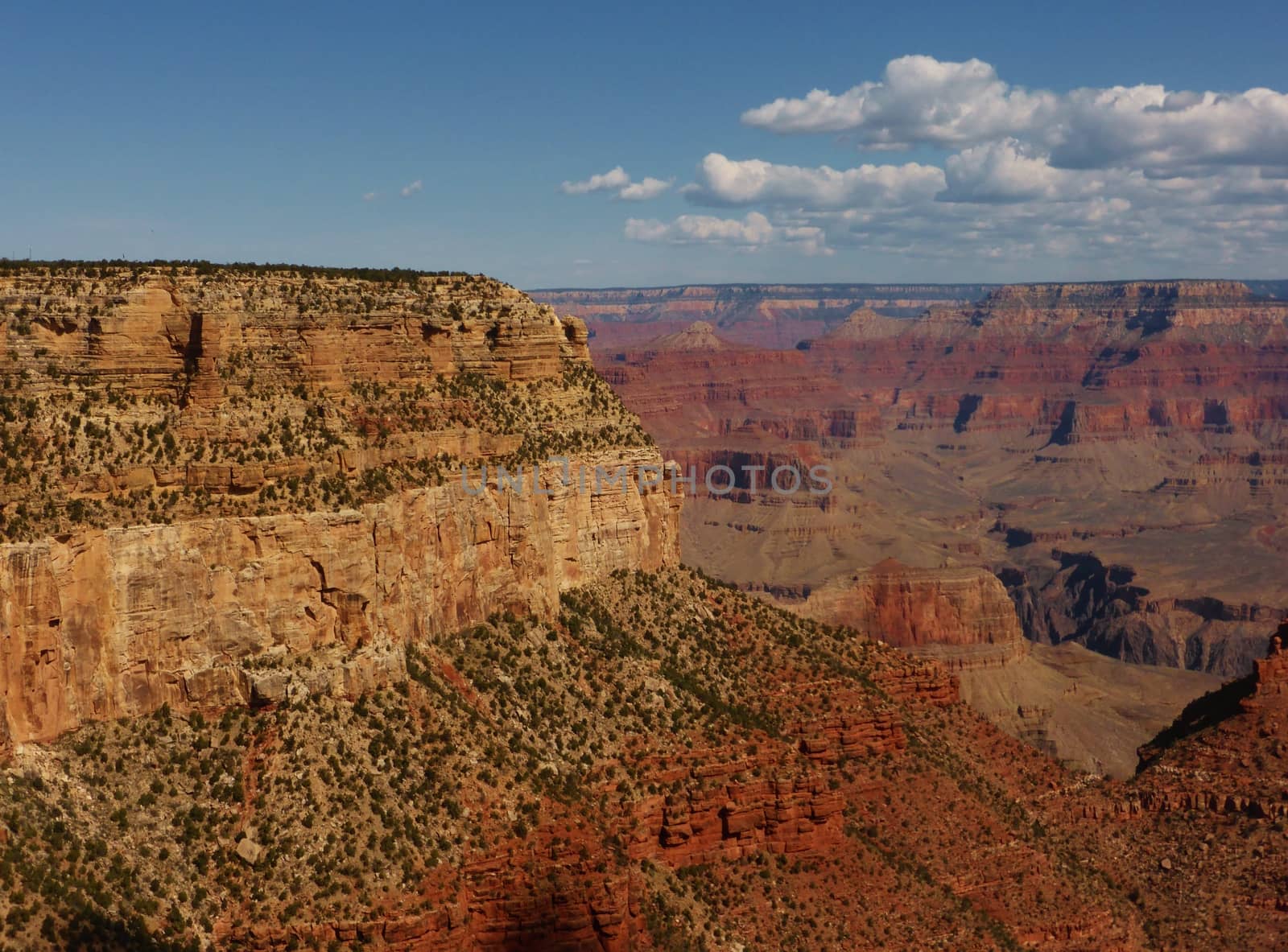 A stunning image of the Grand Canyon taken from the South rim.