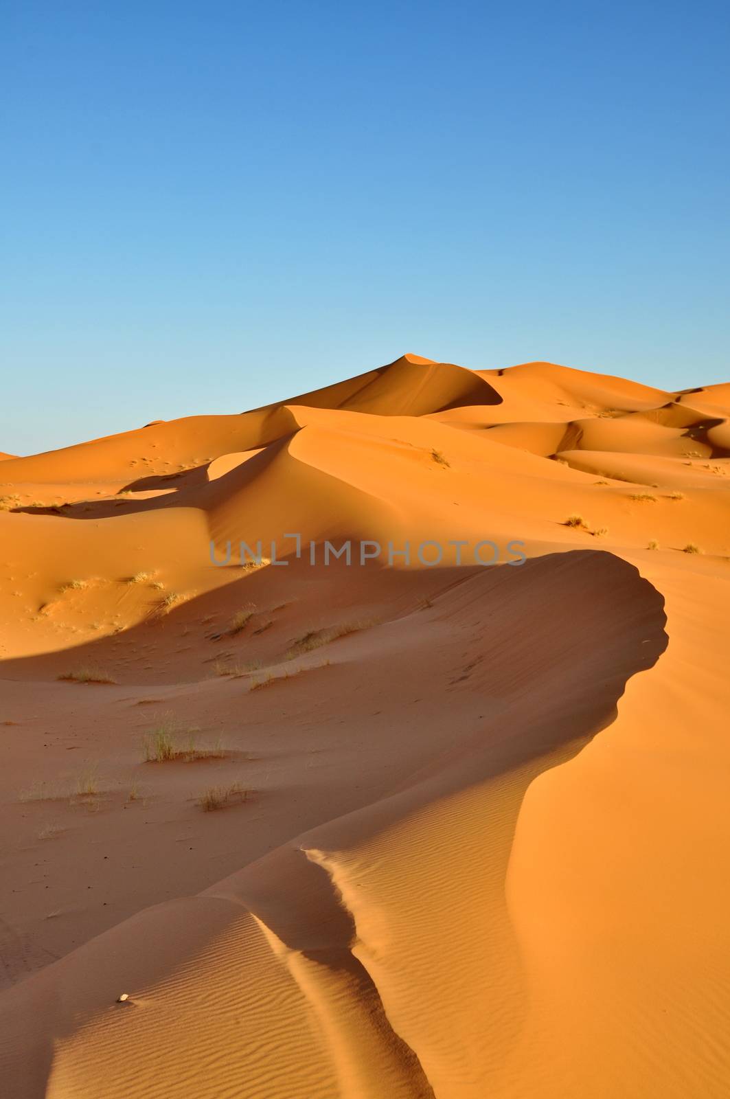 Merzouga desert in Morocco