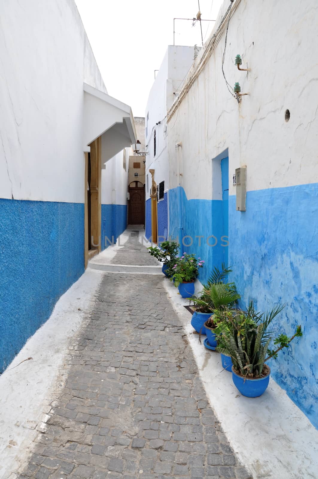 Streets of Rabat, Morocco by anderm