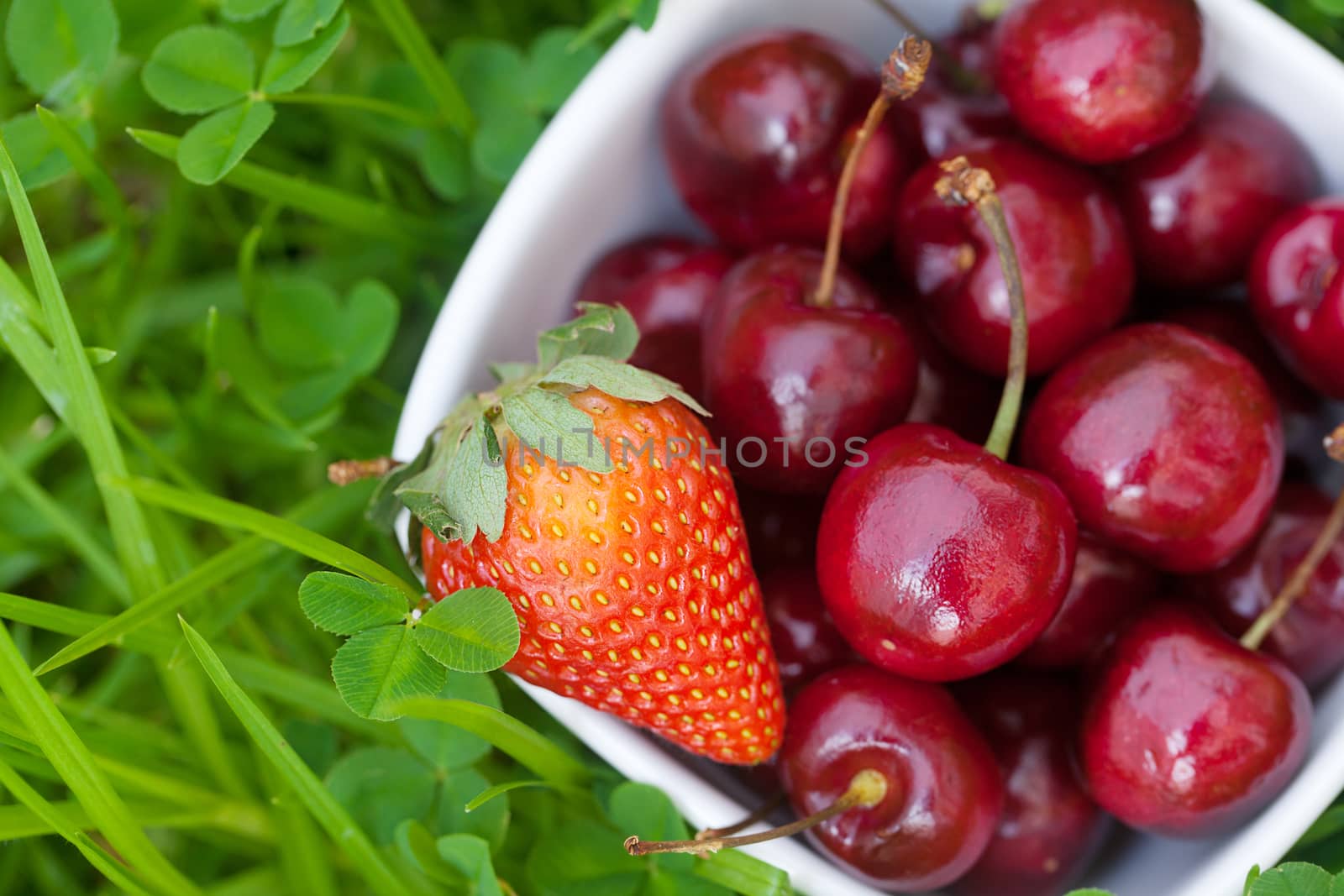 Cherries and strawberry in a ceramic bowl on green grass