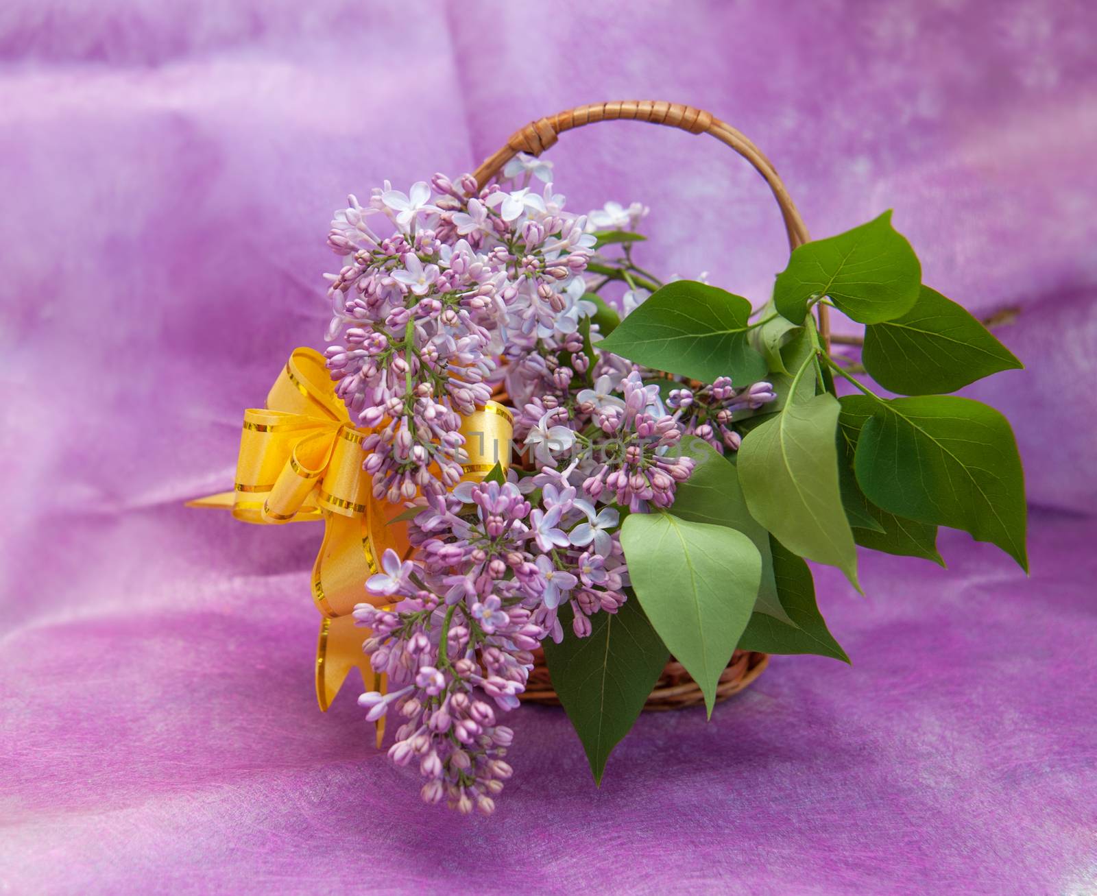 Beautiful branches of flowers in a basket on a purple background