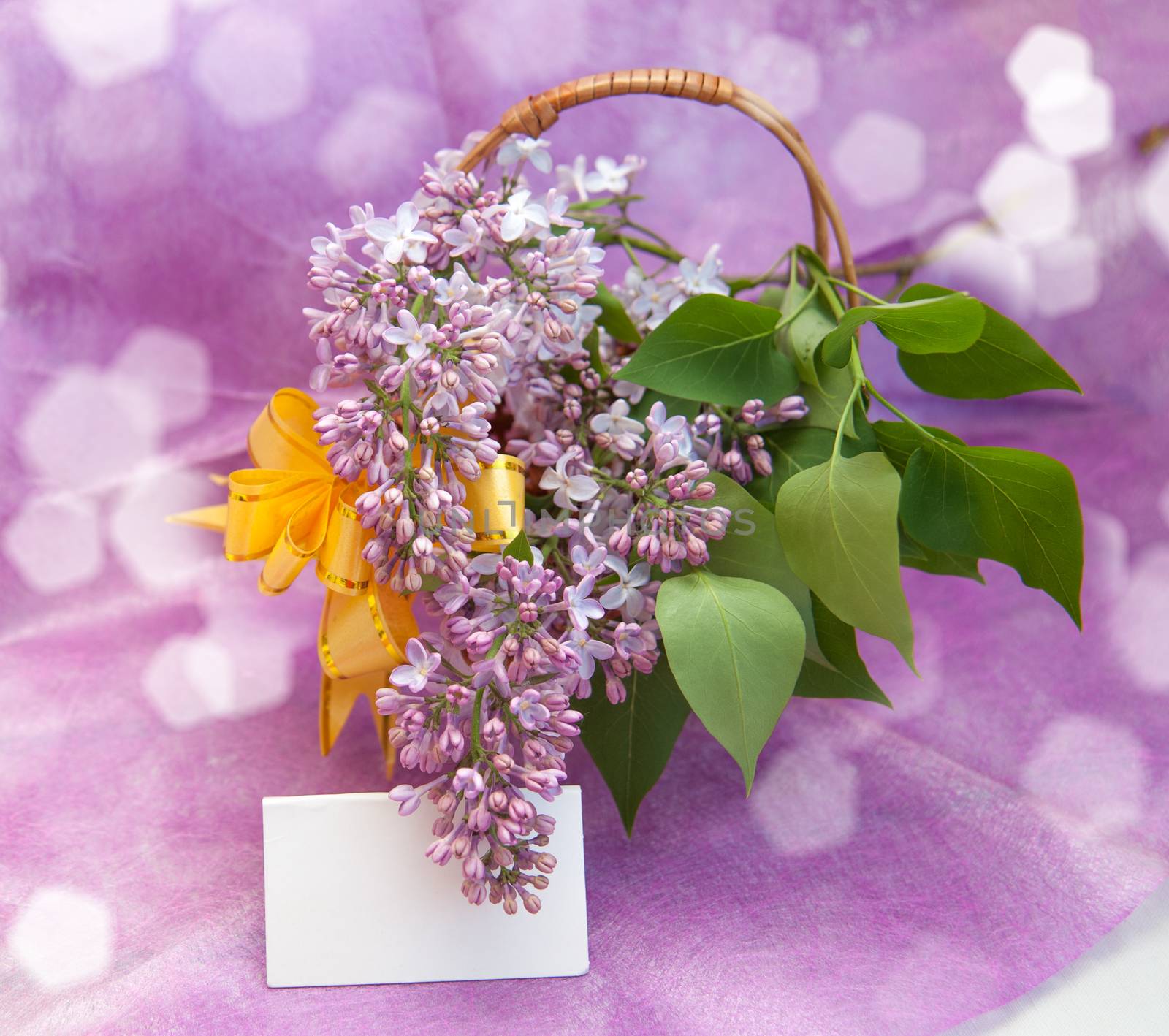 Lilacs in a basket by raduga21