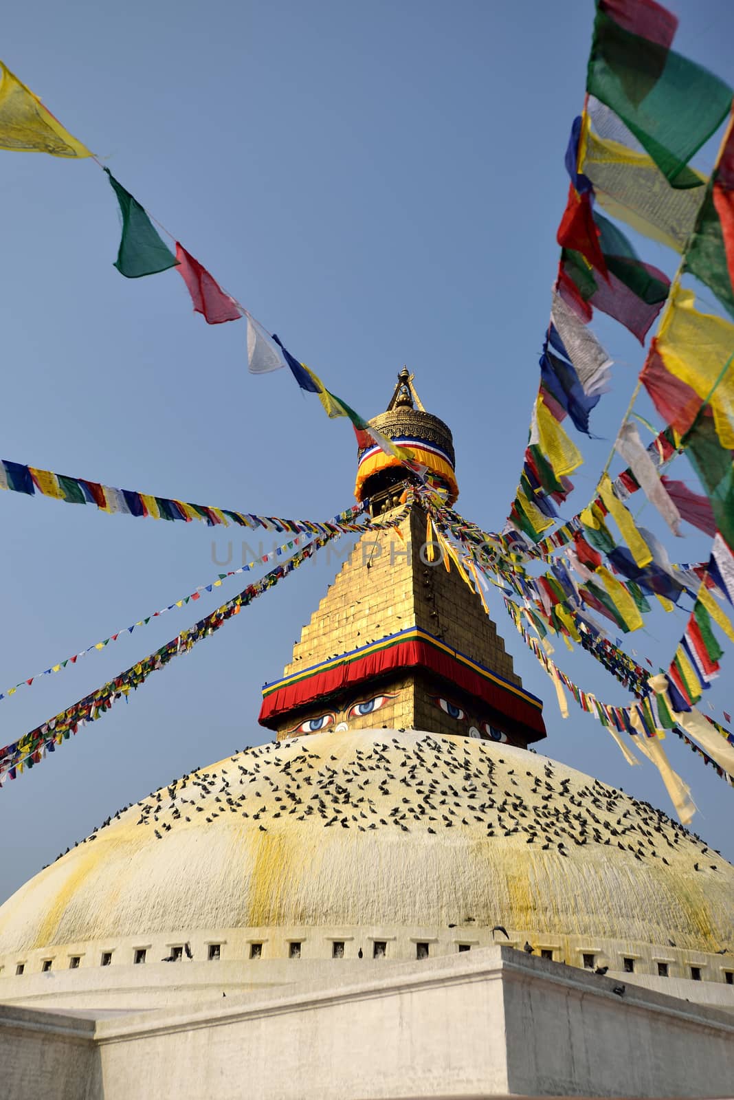 Boudhanath buddhist stupa in Kathmandu capital of Nepal by think4photop
