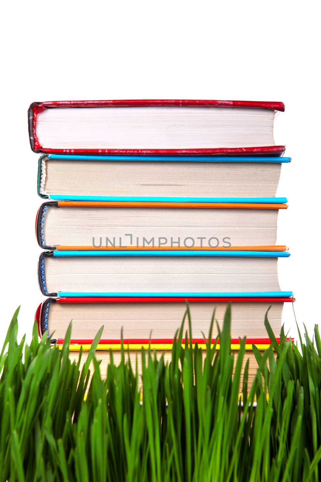 Pile of the Books on the Grass by sabphoto