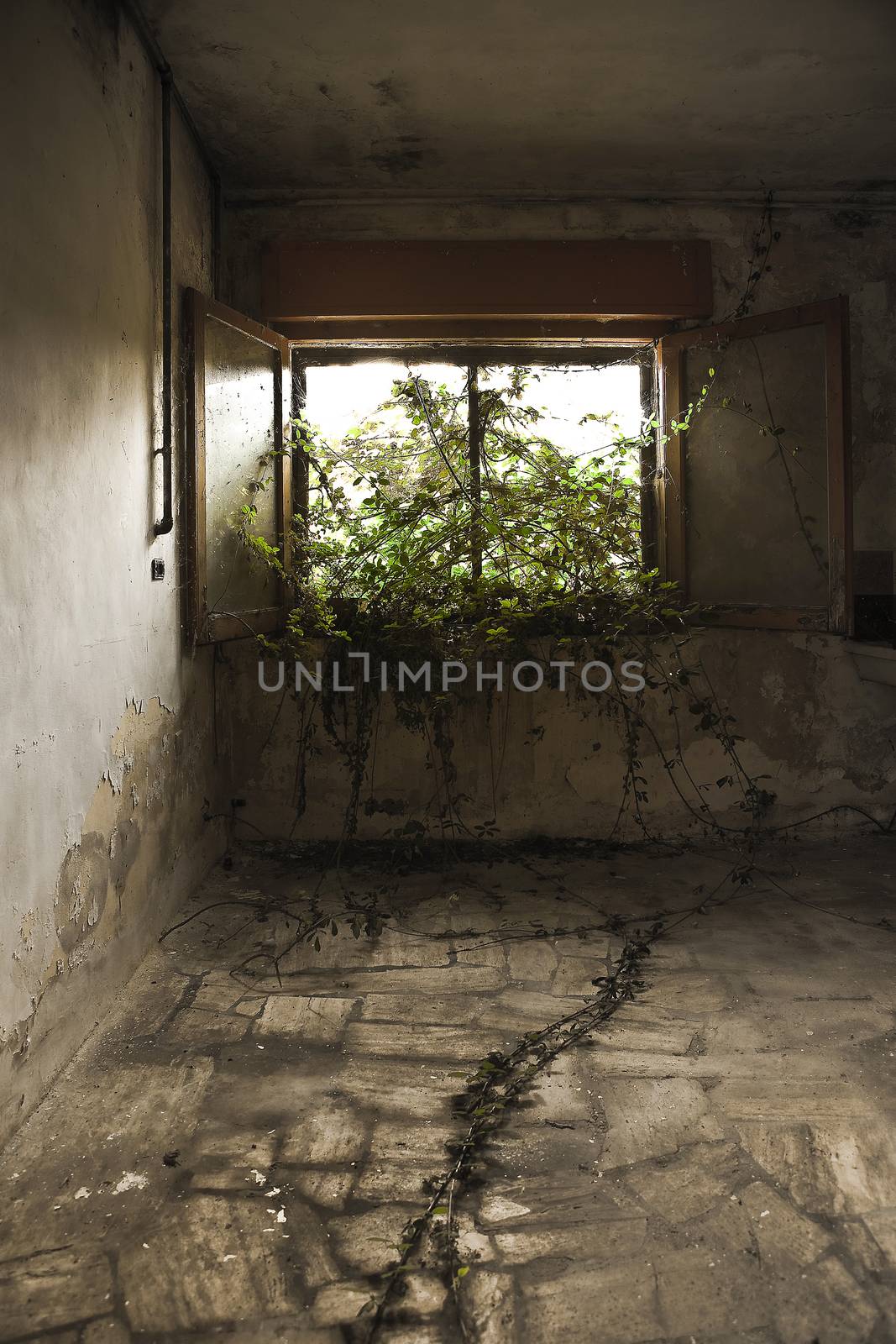 ols, aged, scratched house room by pixphotos