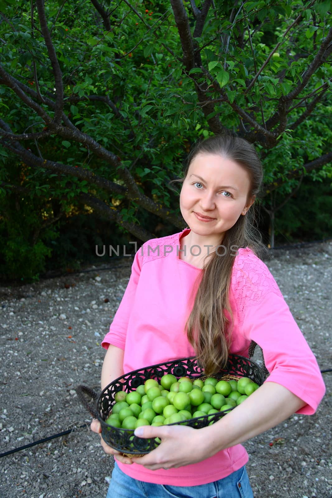 beautiful girl collecting plums by mturhanlar