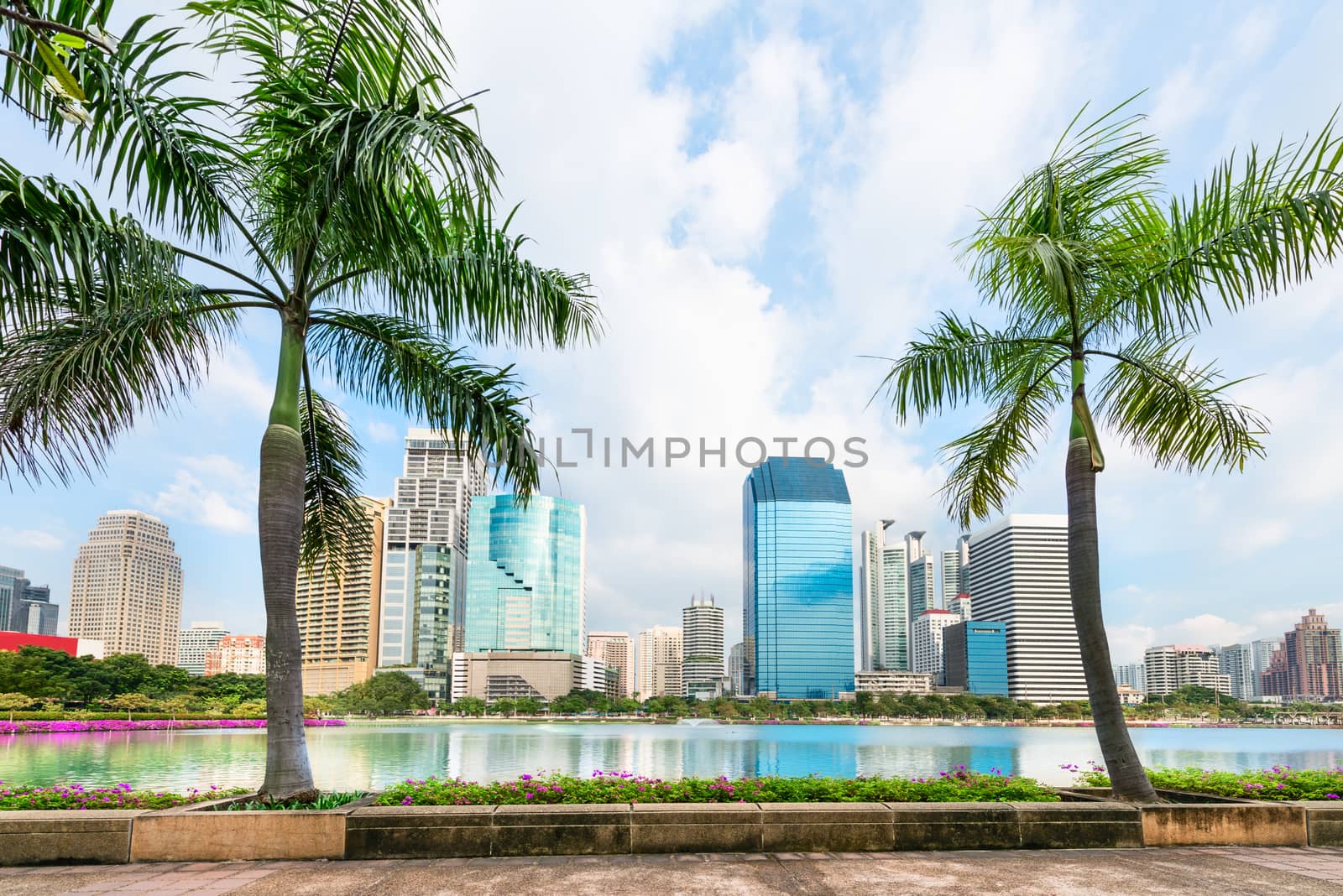 Modern city skyline of business district downtown with tropical palm tree  and blue lake on front in day under blue sky