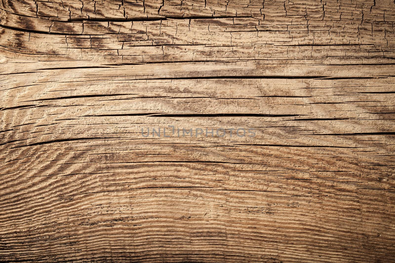 Wood Background by bozena_fulawka