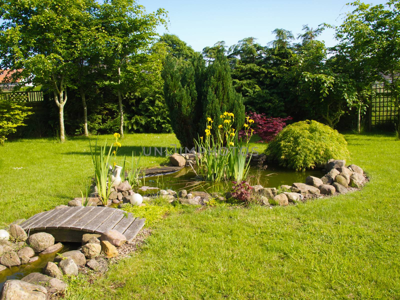 Beautiful classical garden fish pond surrounded by grass gardening background
