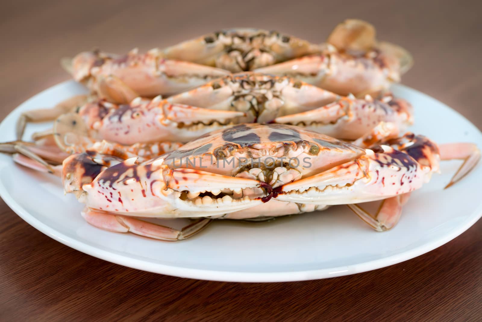 Big fresh crabs on white plate