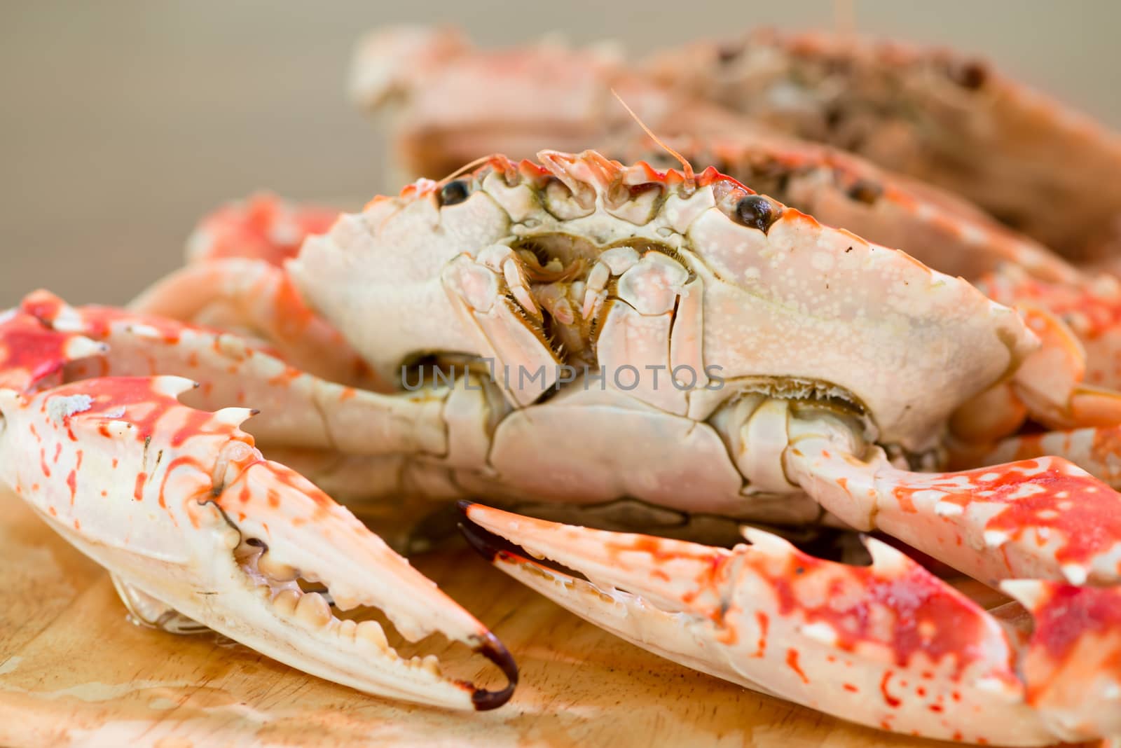 Fresh boiled crabs on wooden board