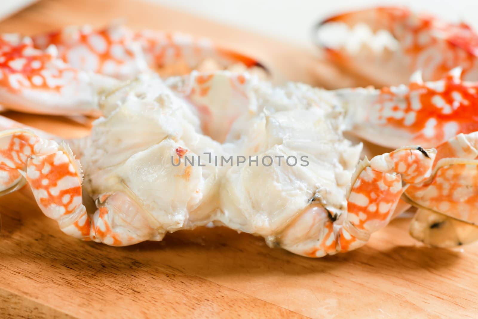  Fresh boiled and dressed crabs  by iryna_rasko