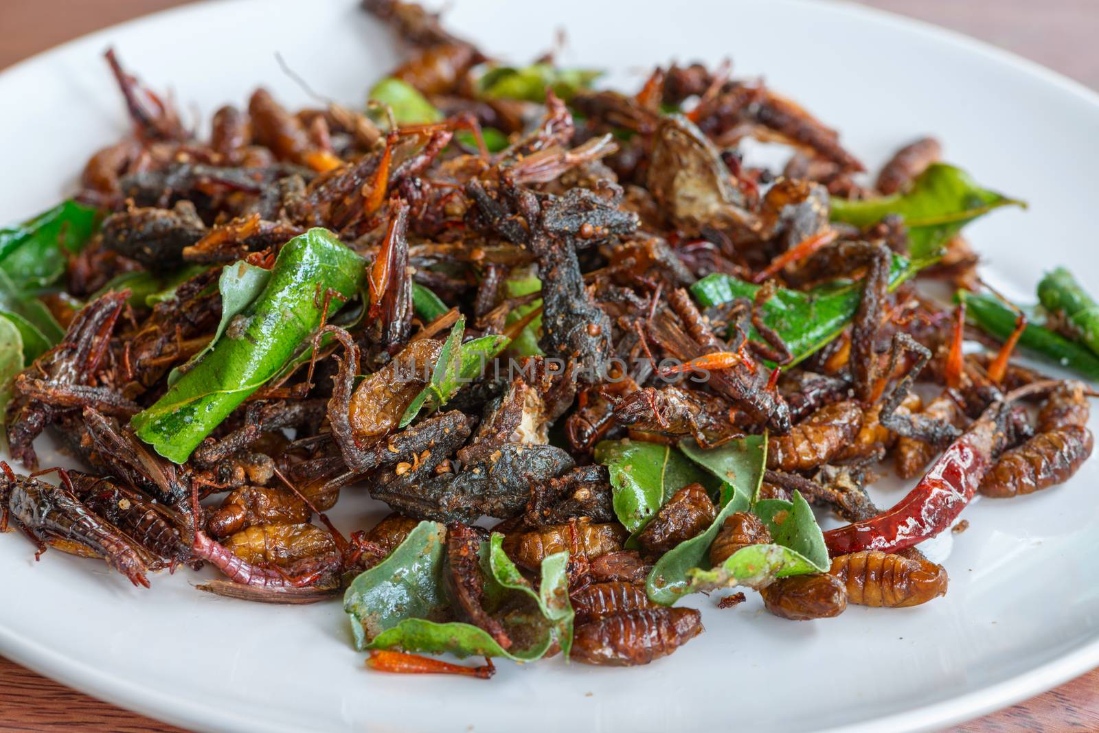 Fried edible insects mix on white plate with green lime leaves.  Fried insects are regional delicacies food in Thailand 