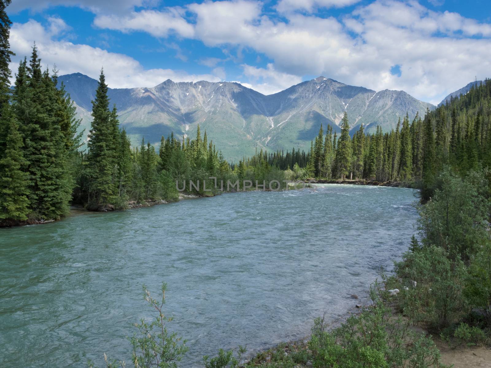 Scenic landscape of boreal forest taiga alpine mountain valley of Wheaton River, Yukon Territory, Canada