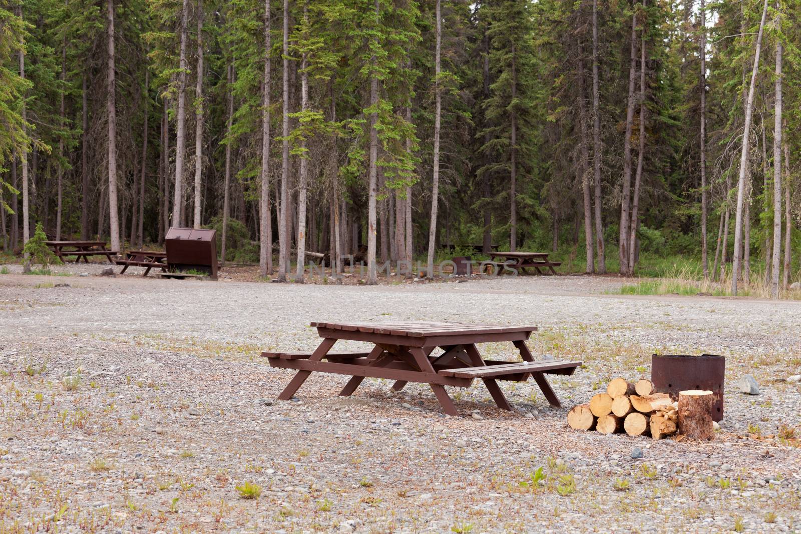 Camp ground campsites camping table firepits by PiLens