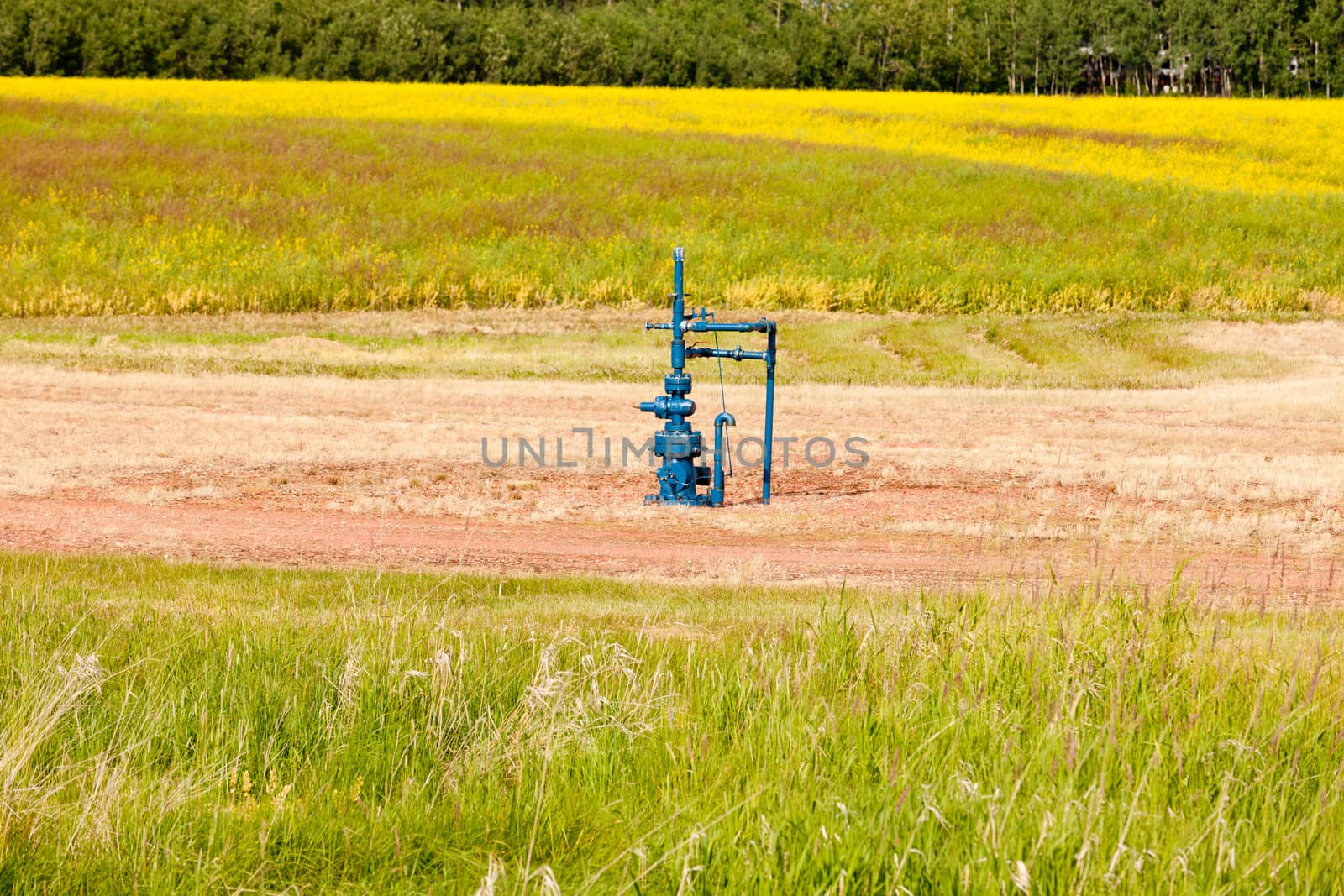 Natural gas wellhead in a meadow of green grassland field agricultural farmland in Alberta, Canada