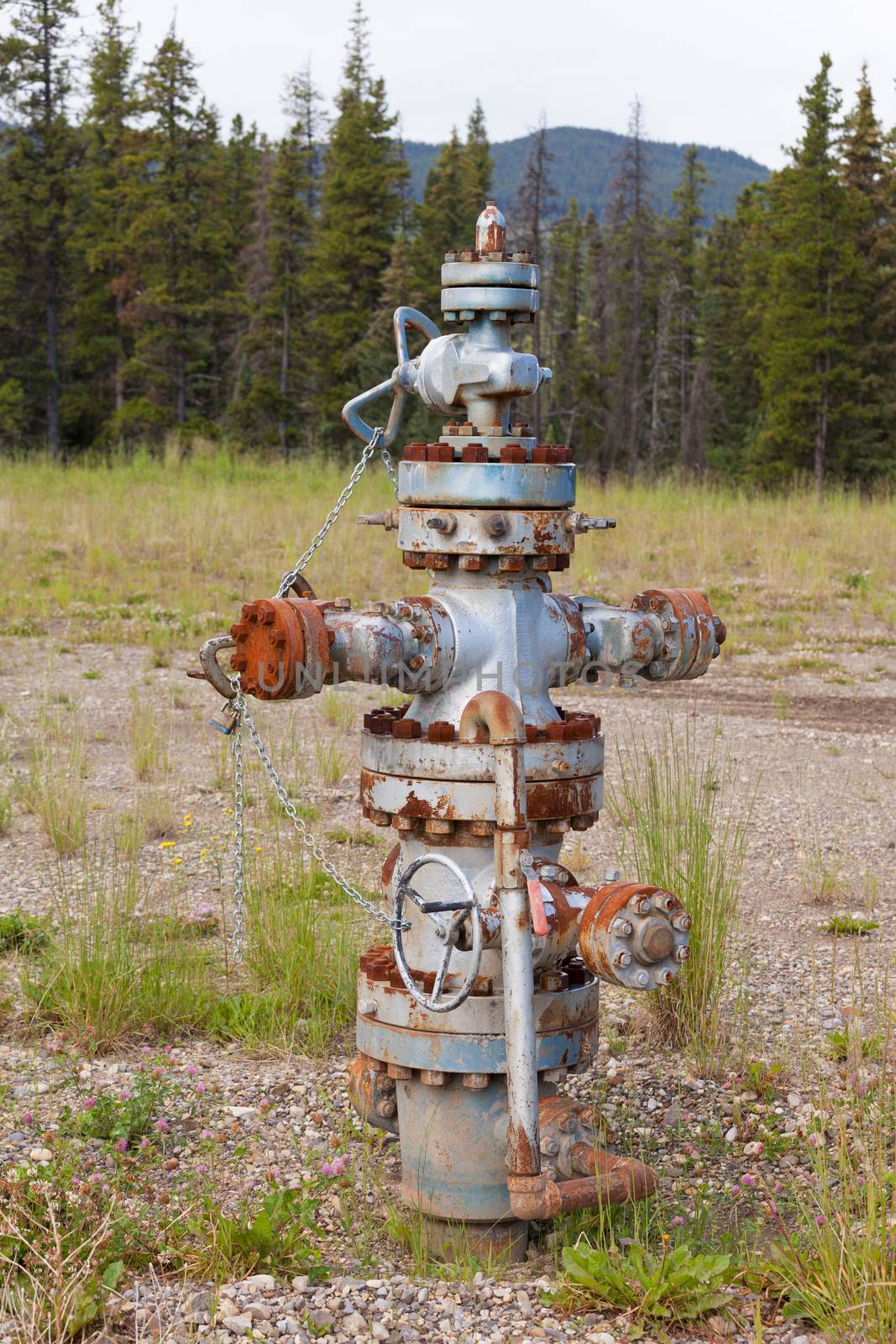 Inoperational oil and gas petroleum industry wellhead flange gear locked shut, Alberta, Canada