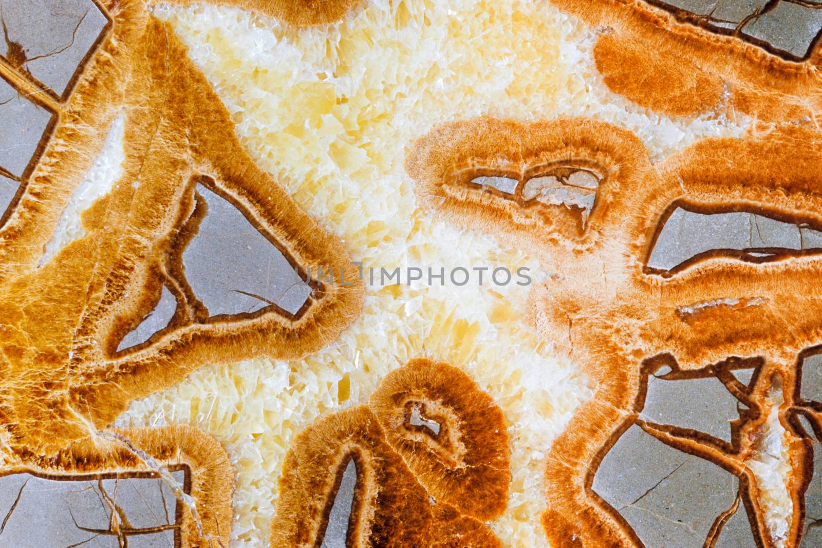 Septarian concretion grey mud stone with yellow scalenohedral calcite crystals polished rock surface details closeup