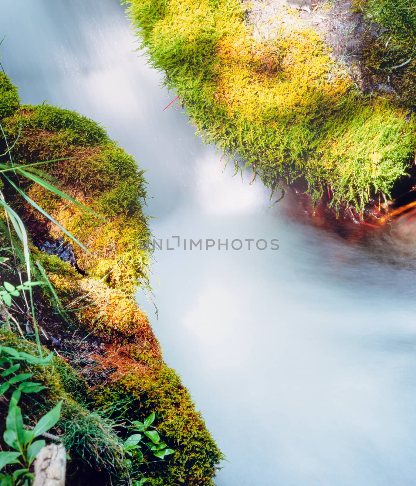 Small forest creek rushing mossy forest ground by PiLens