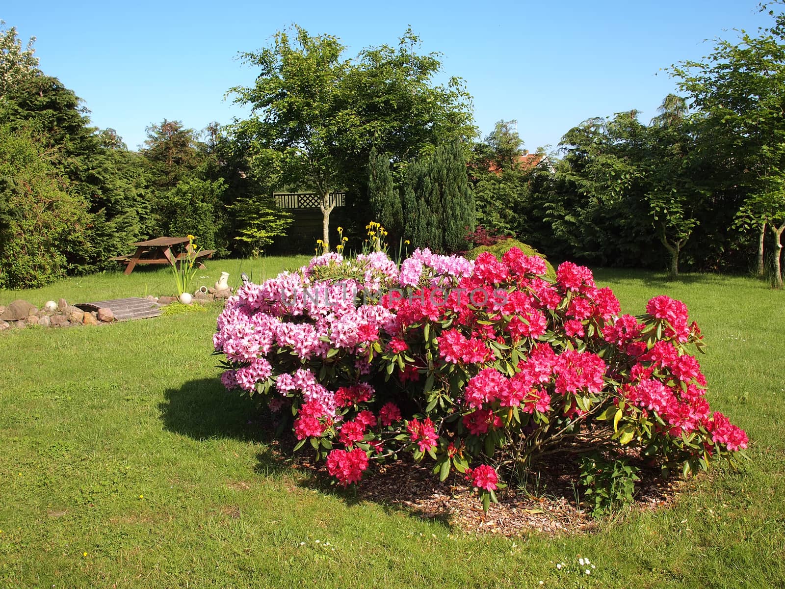 Blooming flowers and plants corner island in a beautiful garden