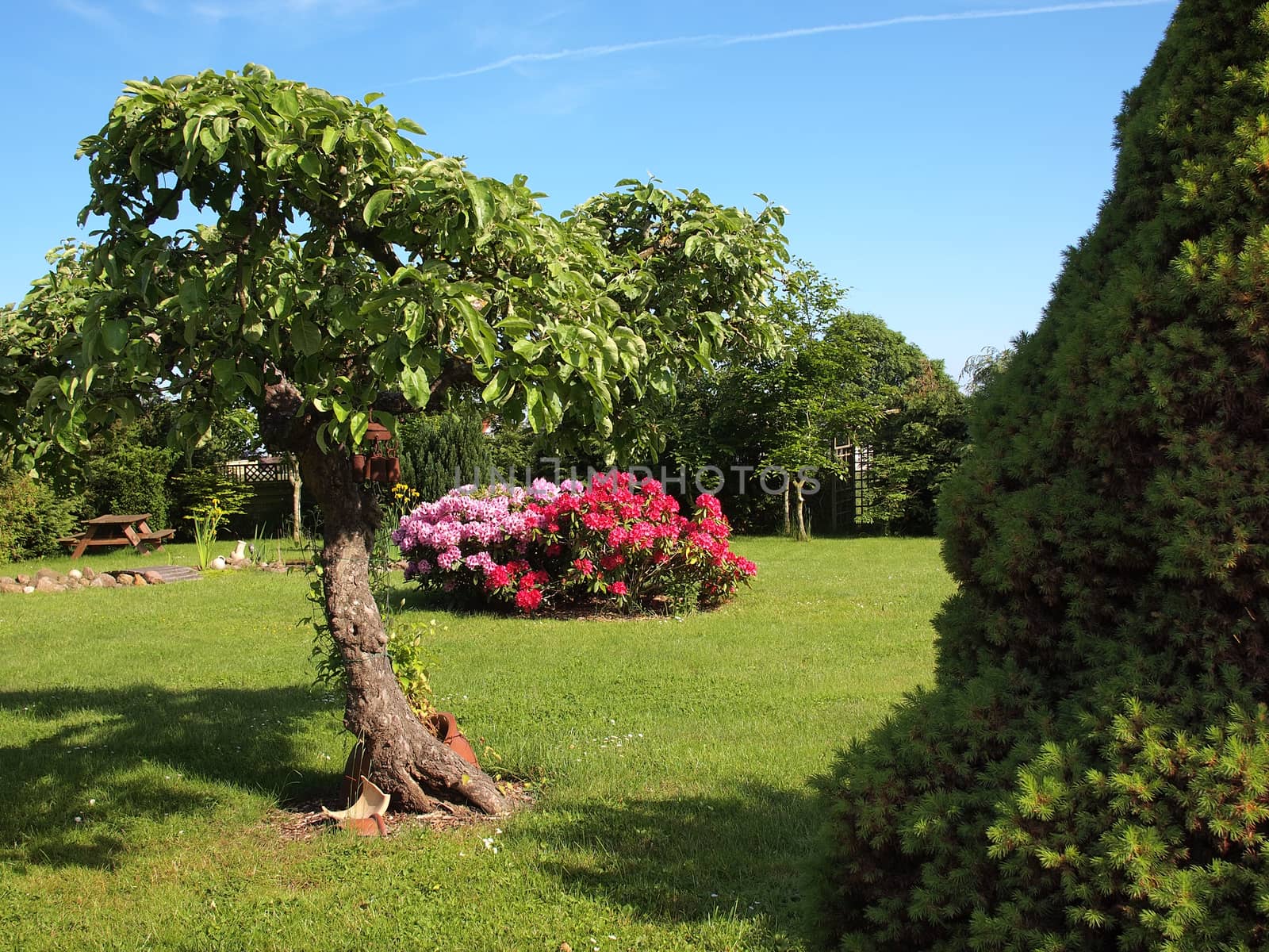 Blooming flowers and plants corner island in a beautiful garden