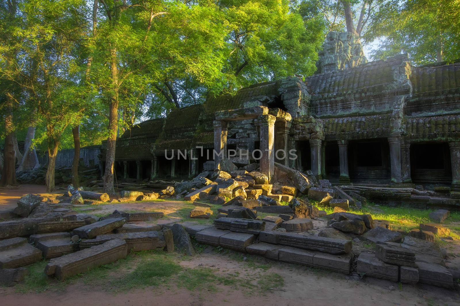 Sunrise over the Ta Phrom temple in Angkor, Cambodia
