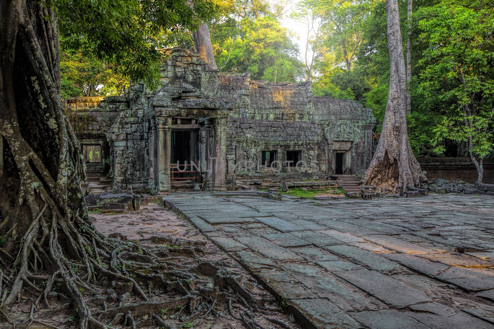 Sunrise over the Ta Phrom temple in Angkor, Cambodia