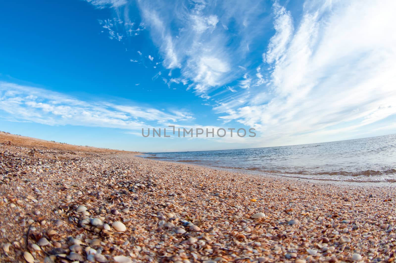 Shelly beach and blue sky.