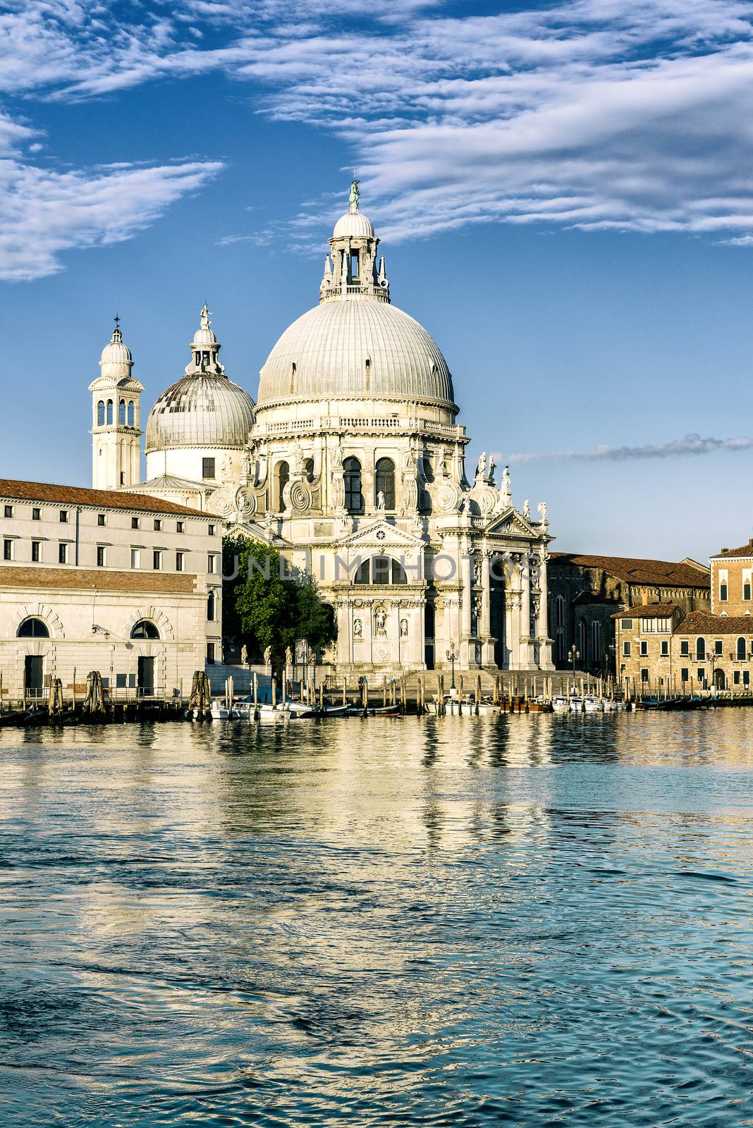 Gondola on Canal Grande with Basilica di Santa Maria della Salute in the background, Venice, Italy 