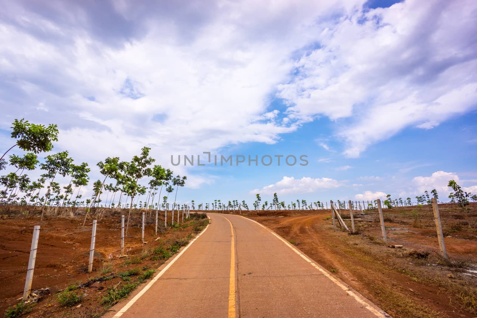 nature scene of rural area in Chiangrai,Thailand