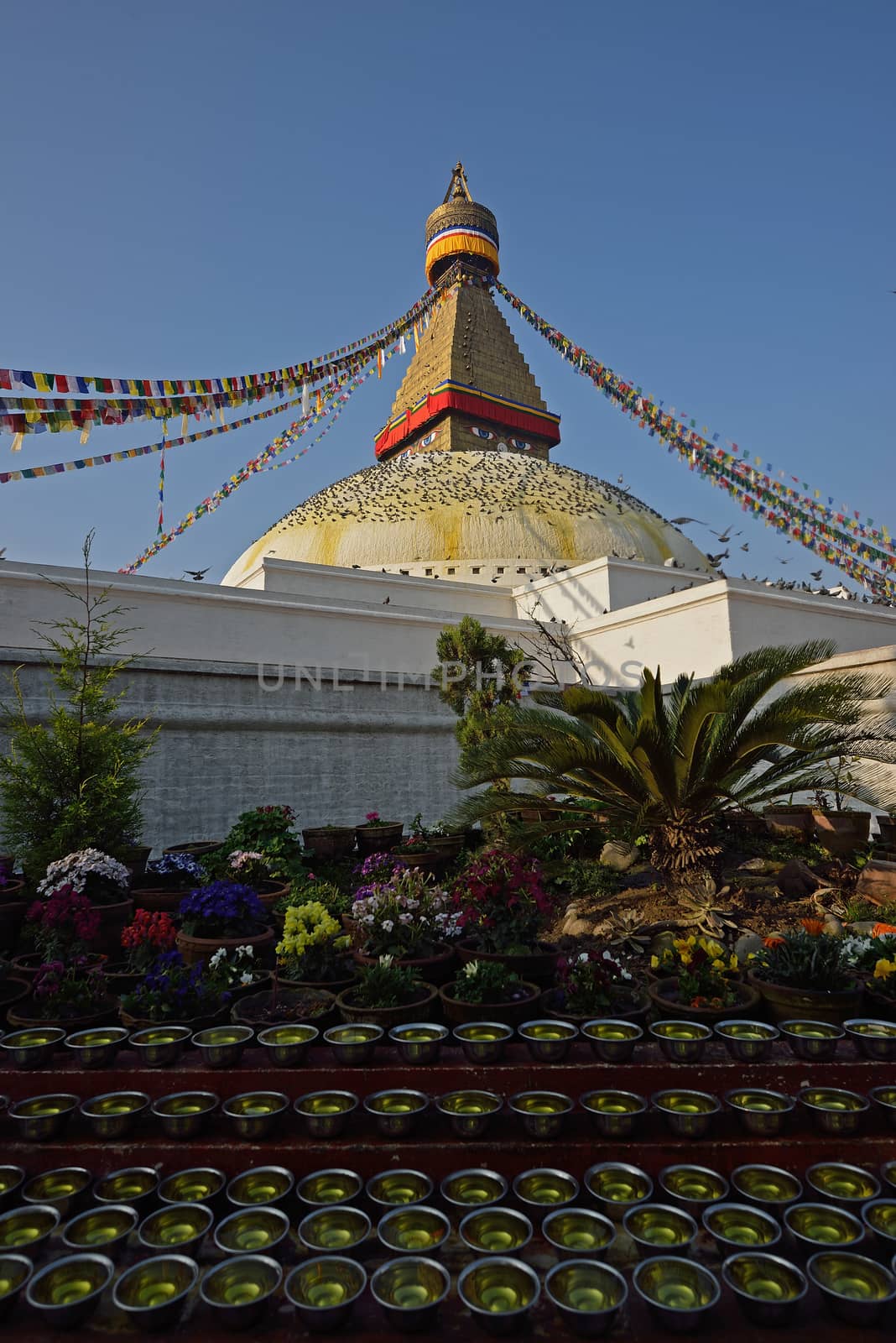 Boudhanath Stupa in the Kathmandu valley, Nepal by think4photop