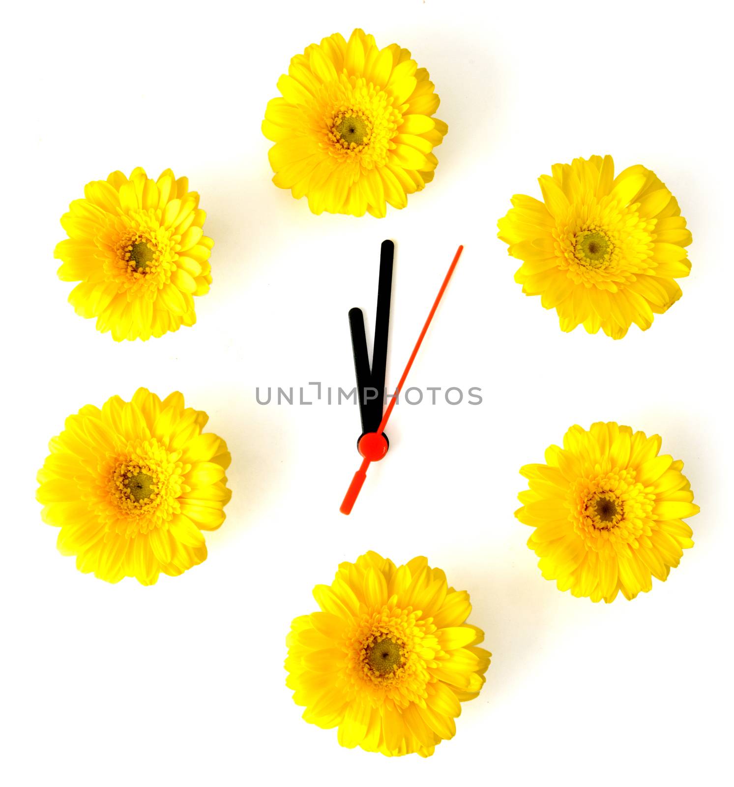 Clock face made from yellow spring daisies 