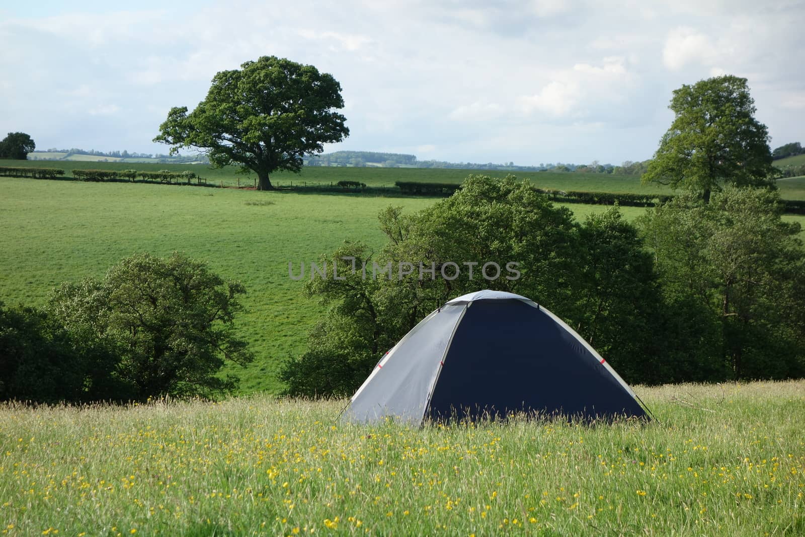 Tent in field amongst rolling countryside, England