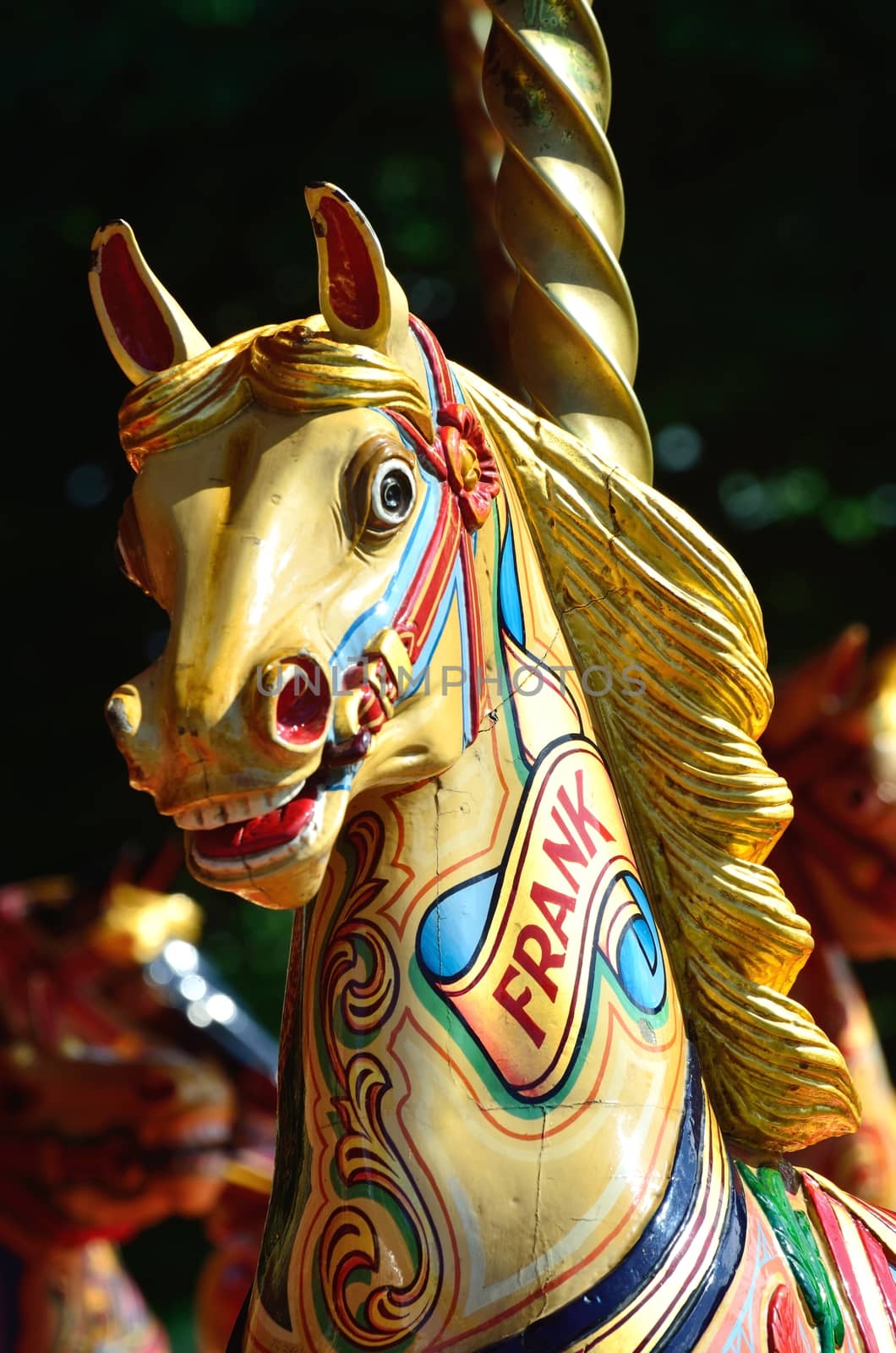 Fairground horse head by pauws99