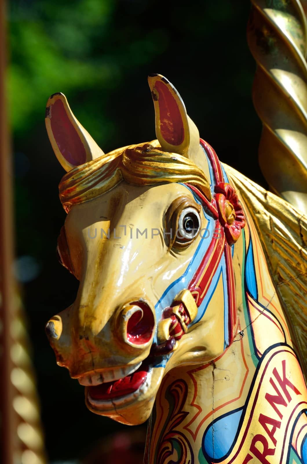 fairground horse portrait by pauws99